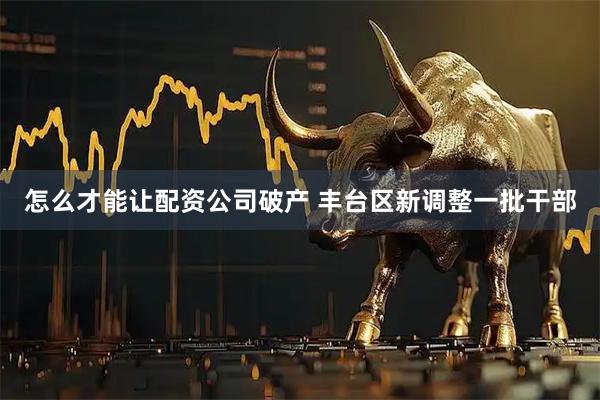 怎么才能让配资公司破产 丰台区新调整一批干部