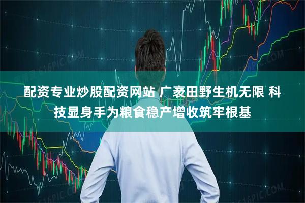 配资专业炒股配资网站 广袤田野生机无限 科技显身手为粮食稳产增收筑牢根基