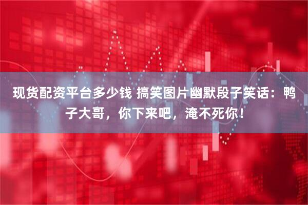 现货配资平台多少钱 搞笑图片幽默段子笑话：鸭子大哥，你下来吧，淹不死你！